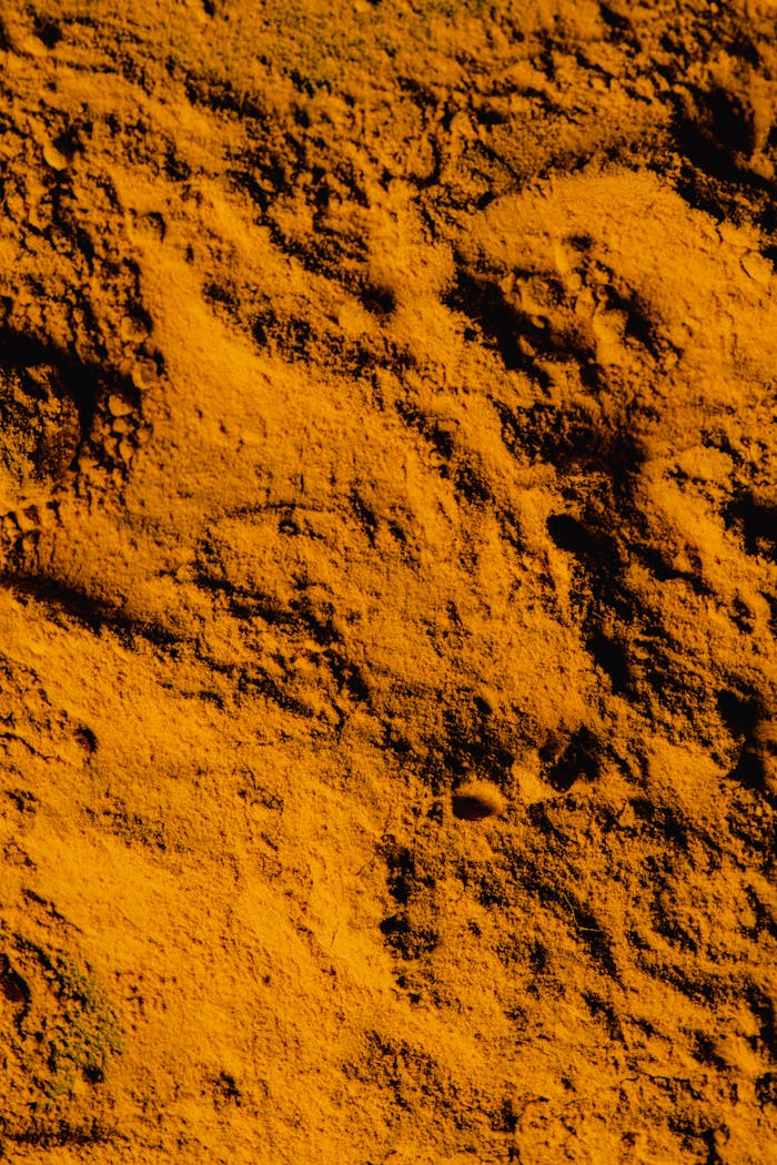 A detailed close-up of vibrant yellow turmeric powder showing its textured surface.